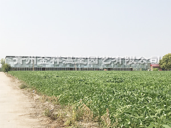 河北保定科研溫室